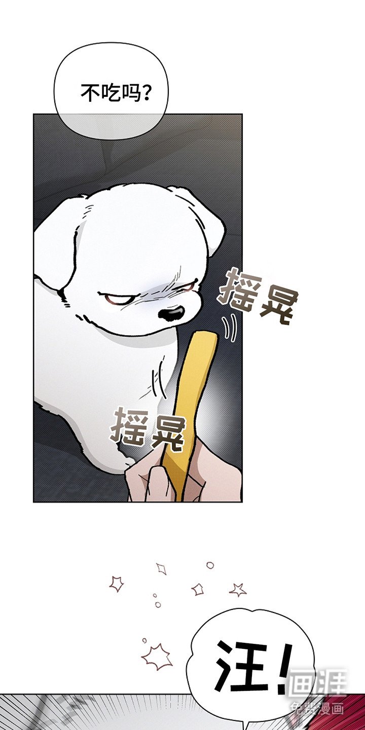 第14章：寸步不离