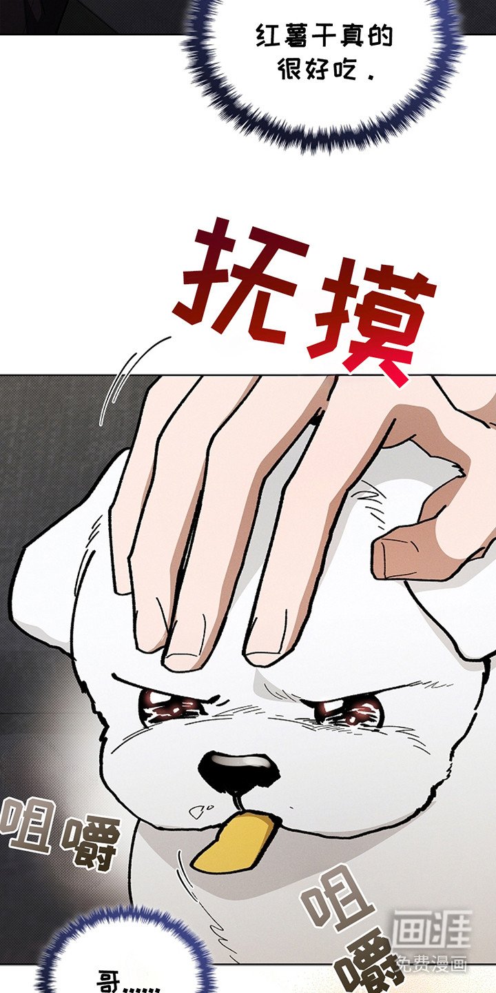 第14章：寸步不离