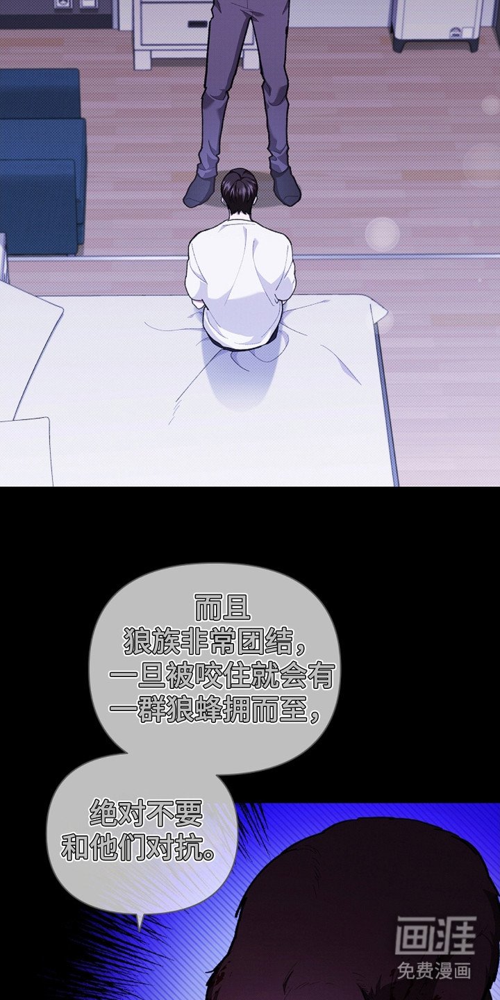 第14章：寸步不离