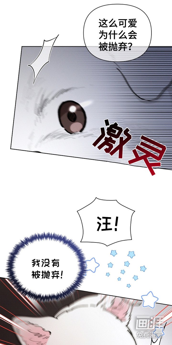 第15章：玩具