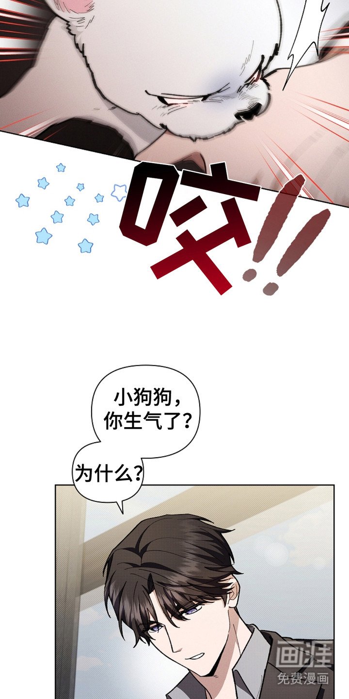 第15章：玩具