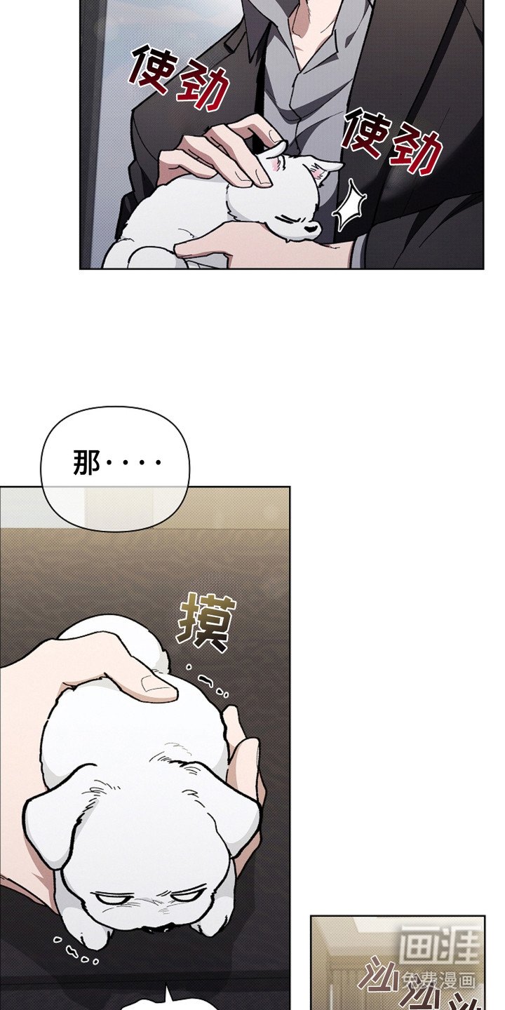 第15章：玩具