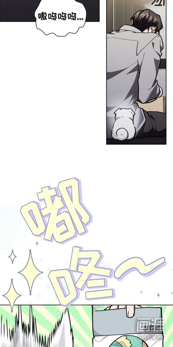 第15章：玩具
