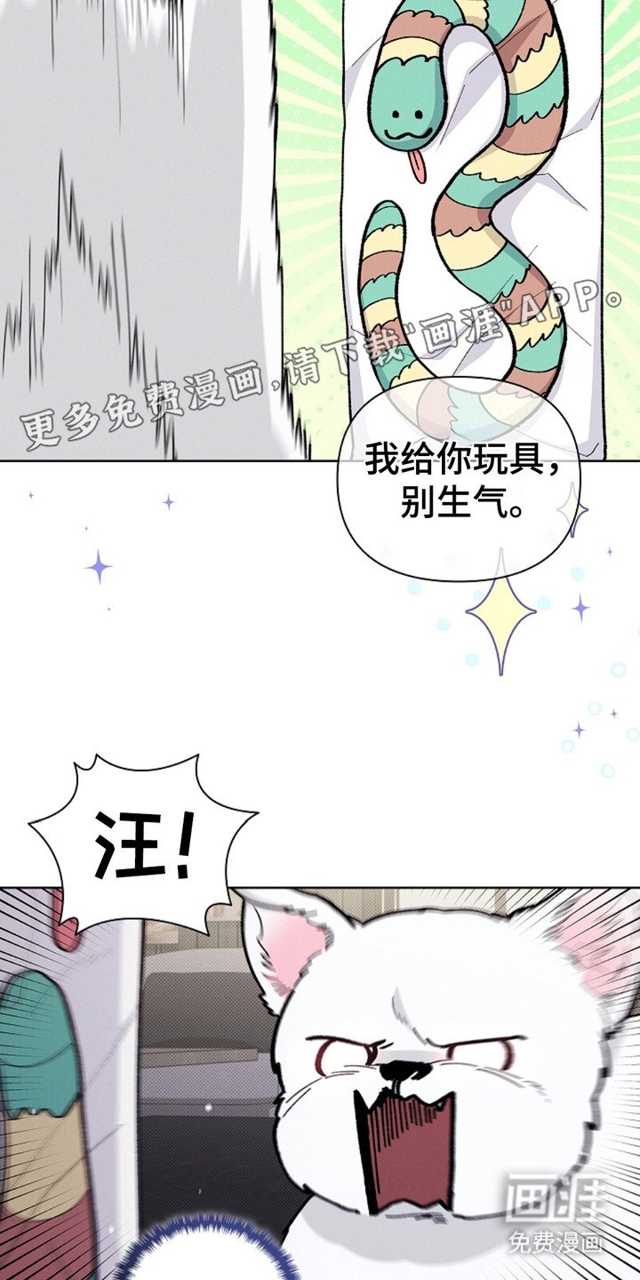 第15章：玩具