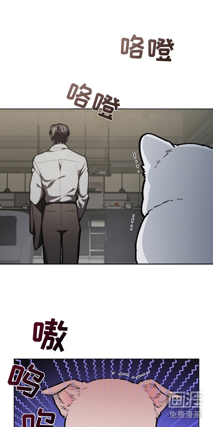 第15章：玩具