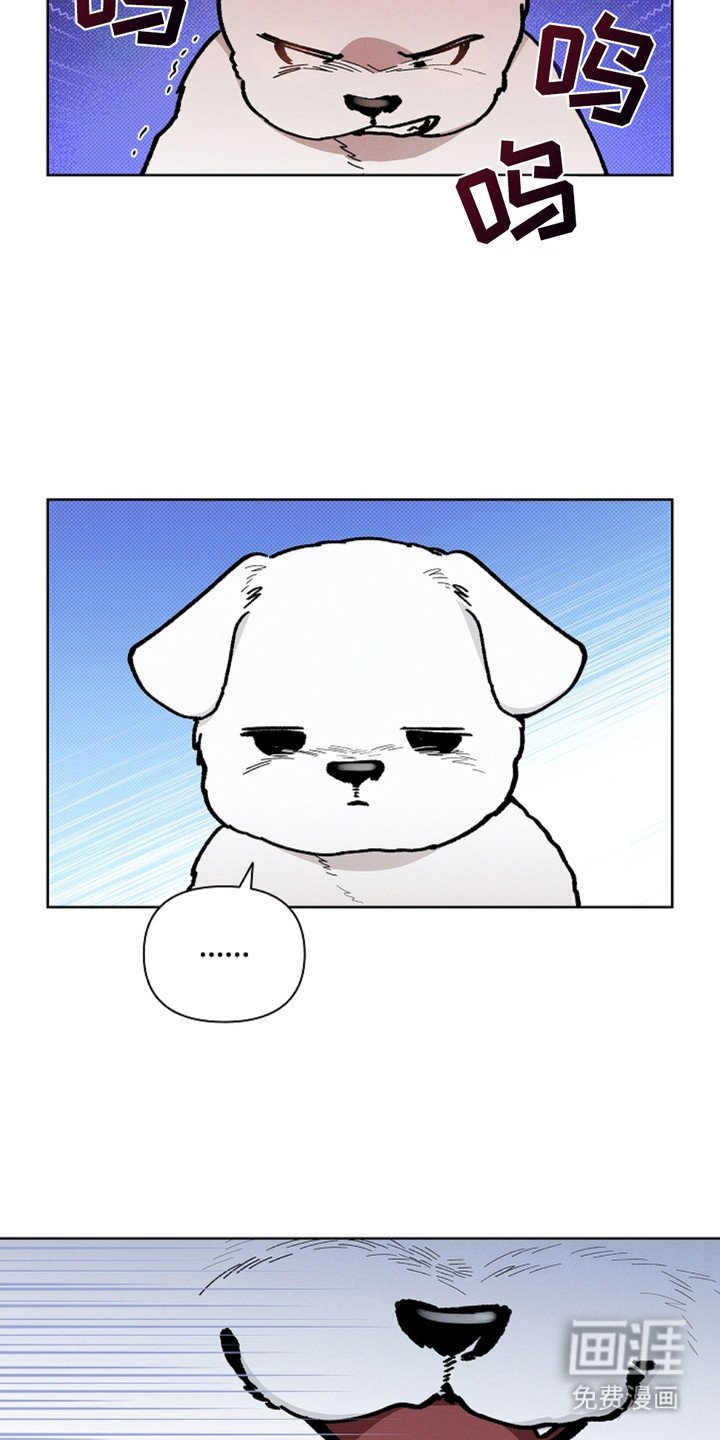 第15章：玩具