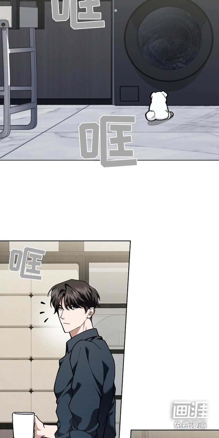 第15章：玩具