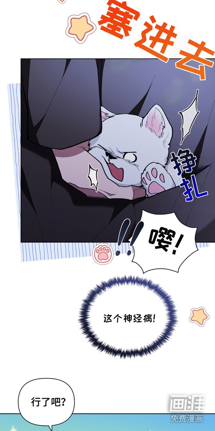 第15章：玩具