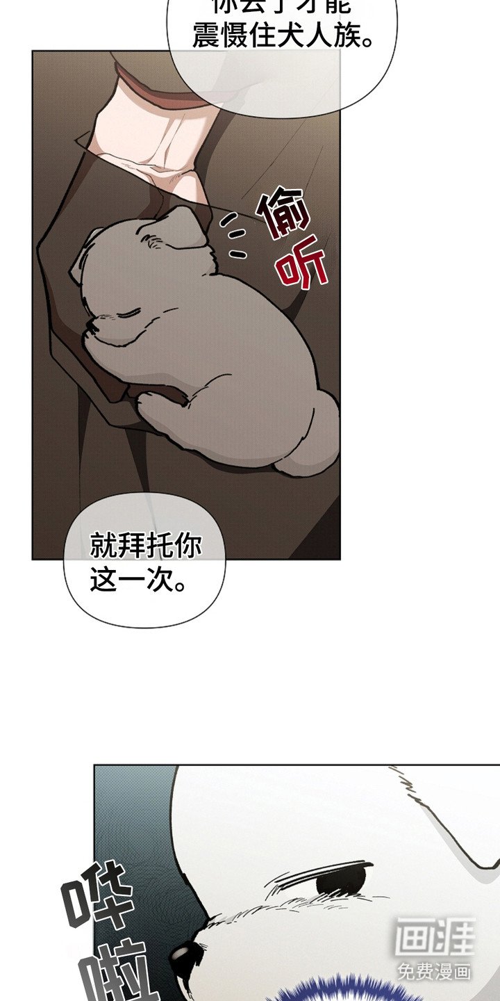 第16章：愤怒