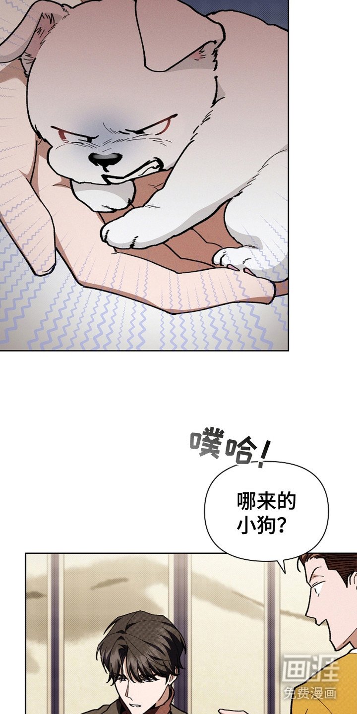 第16章：愤怒