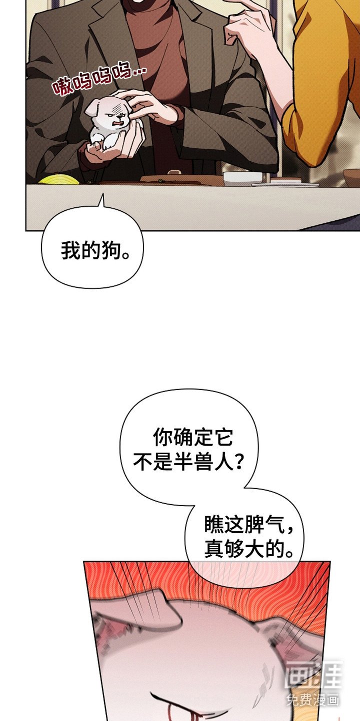 第16章：愤怒