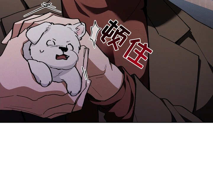 第16章：愤怒