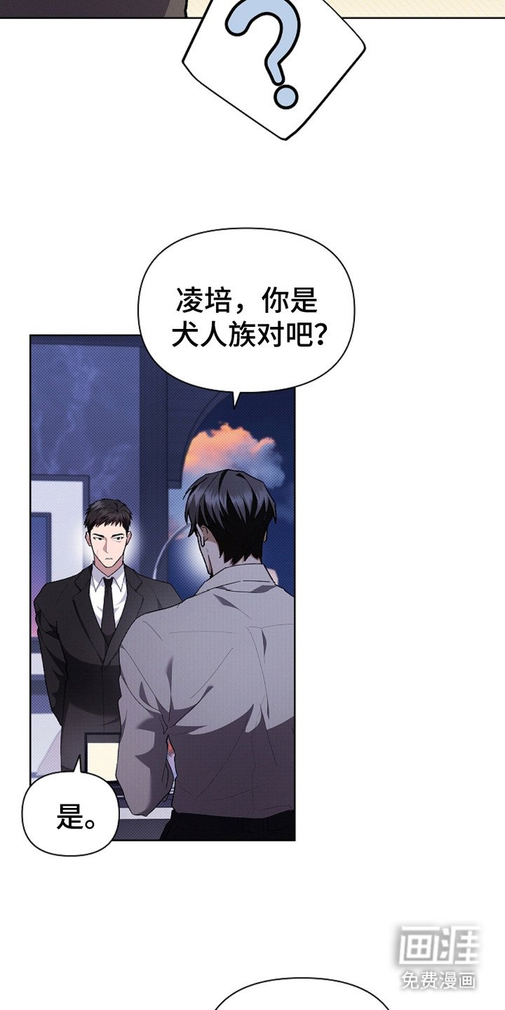 第18章：无法沟通