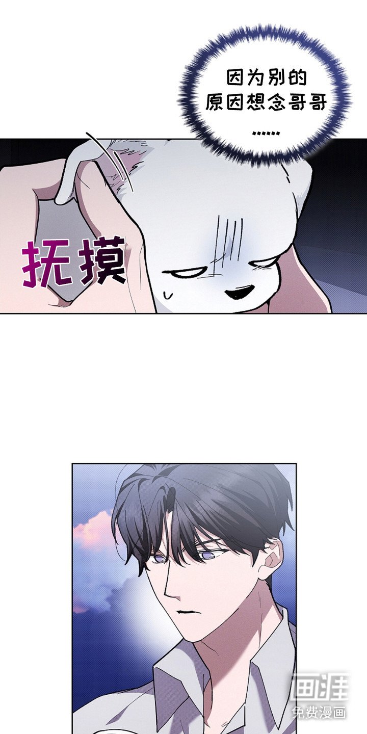 第19章：采耳