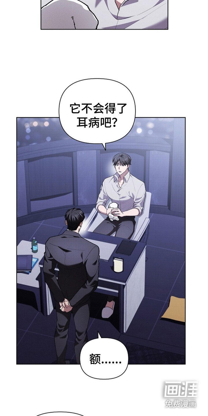 第19章：采耳