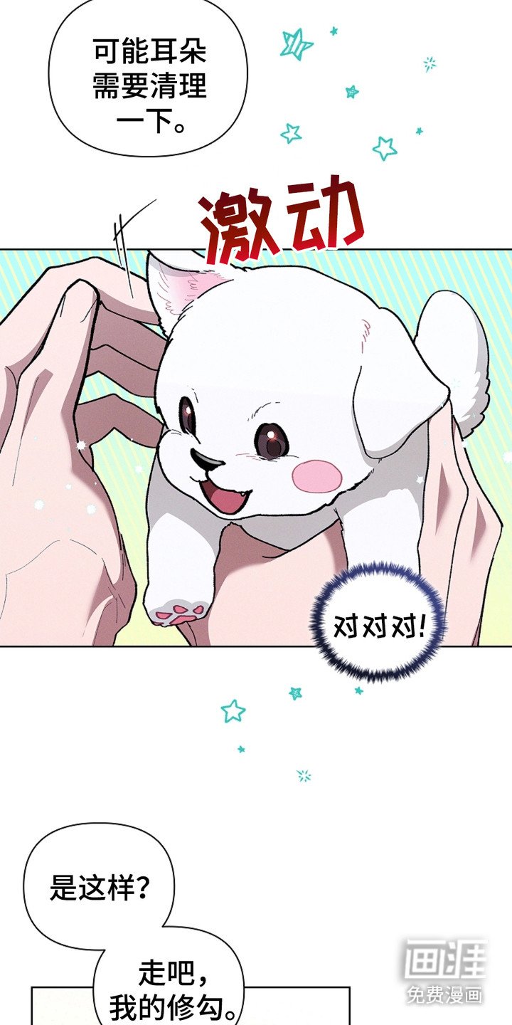 第19章：采耳