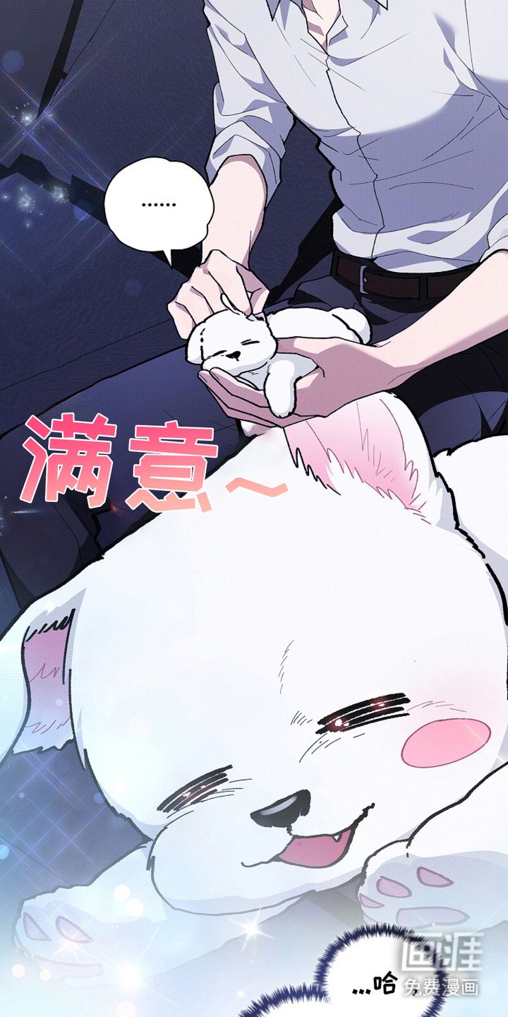 第19章：采耳