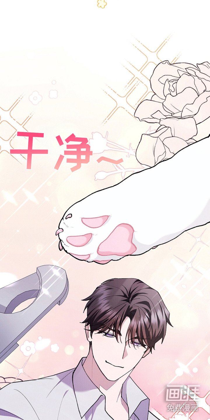 第19章：采耳