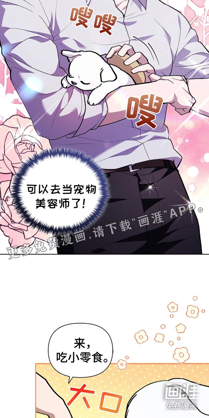 第19章：采耳