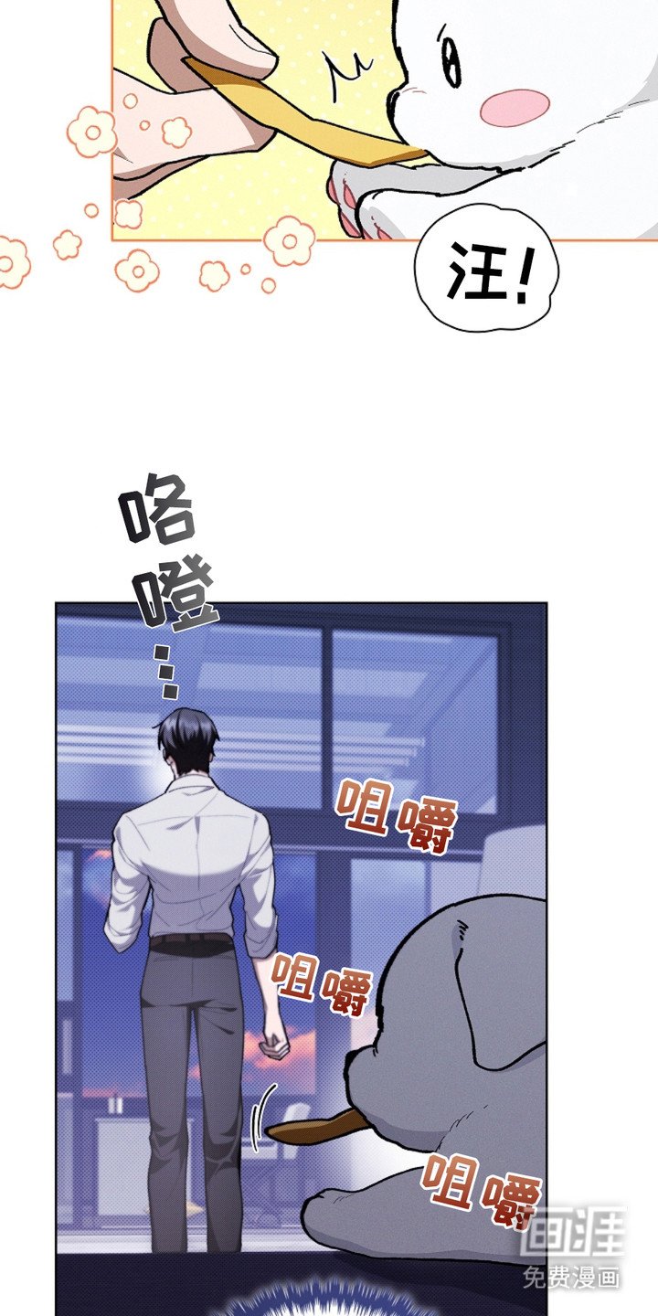 第19章：采耳
