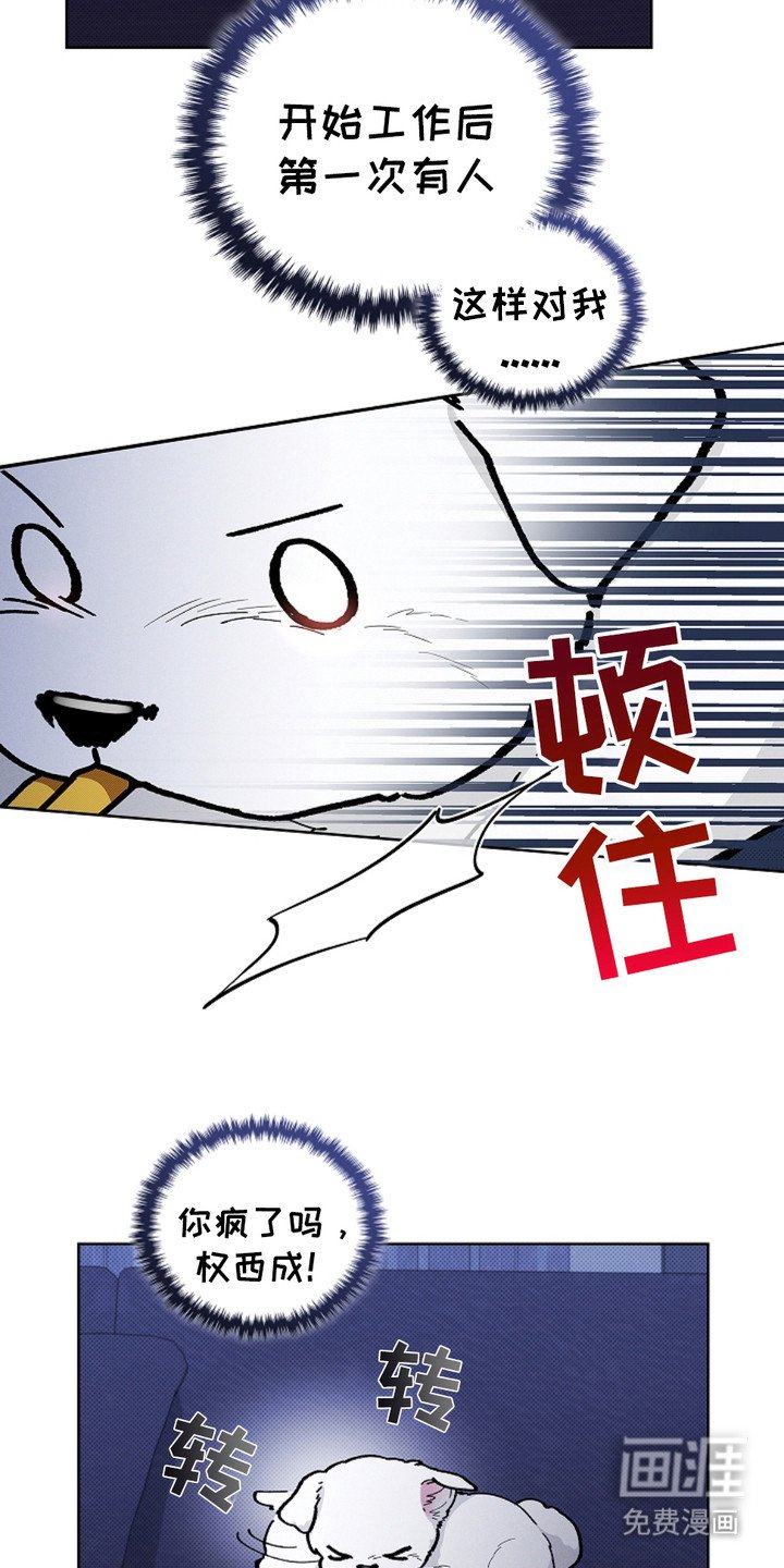 第19章：采耳
