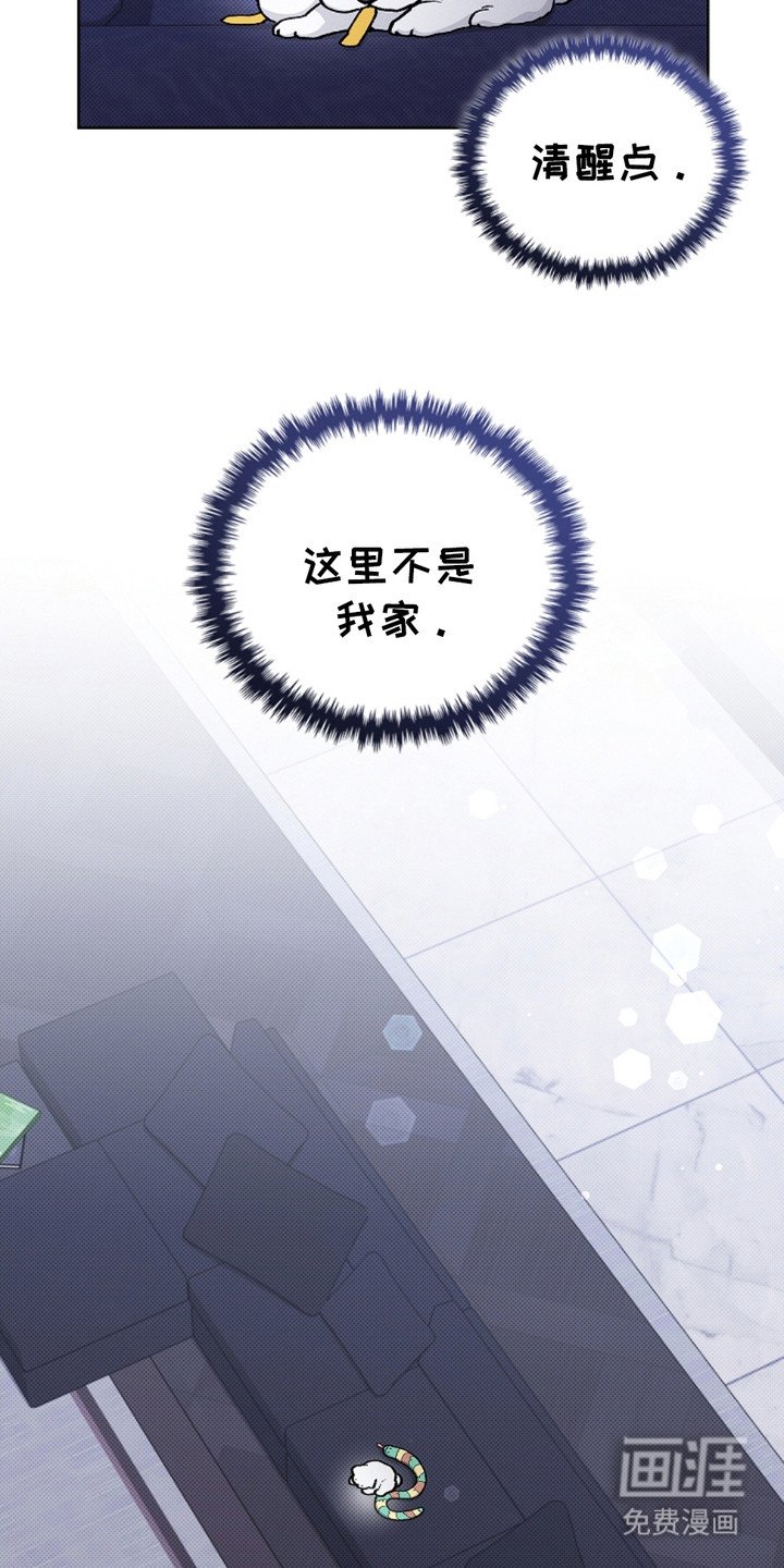 第19章：采耳