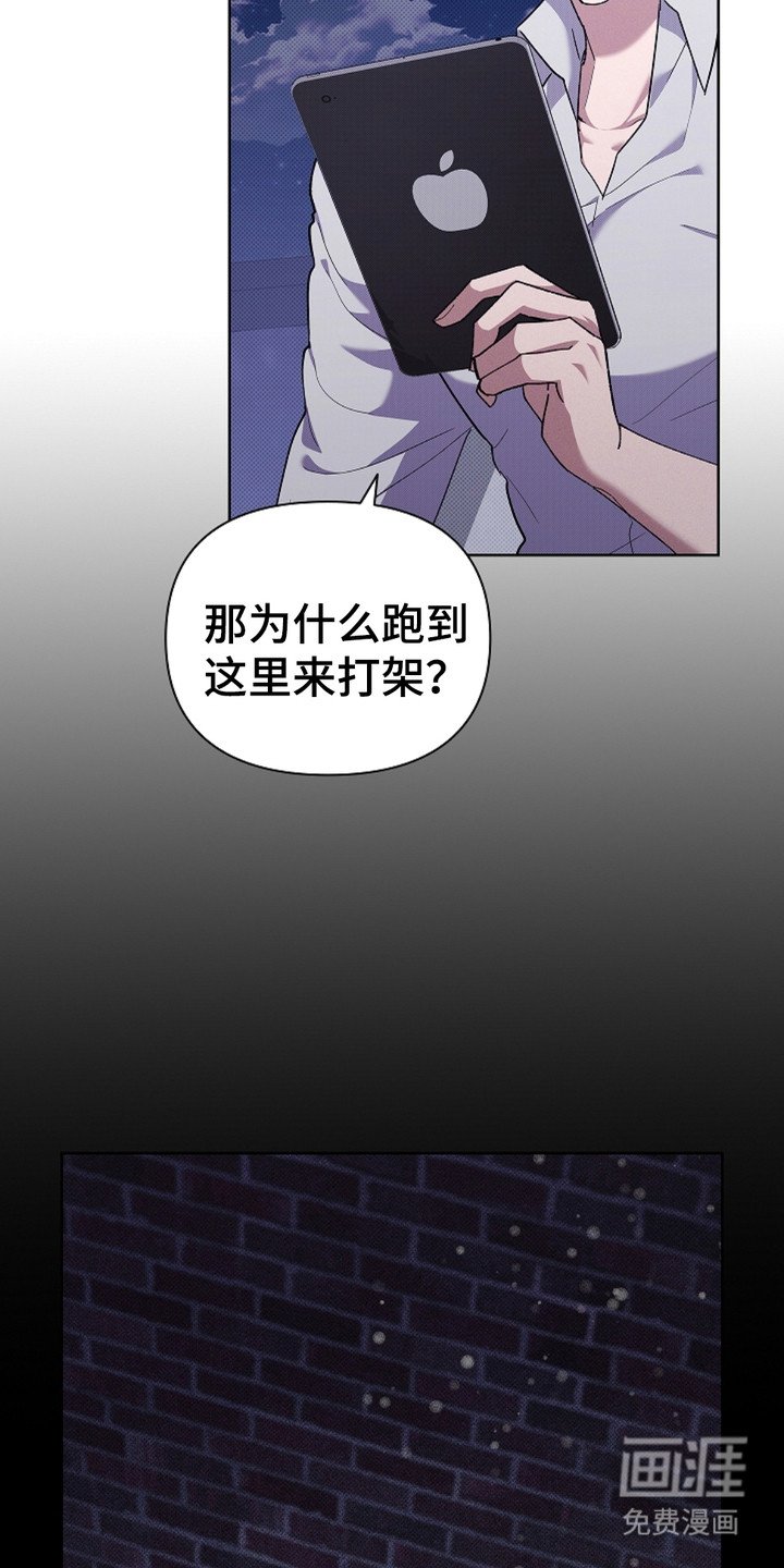 第19章：采耳