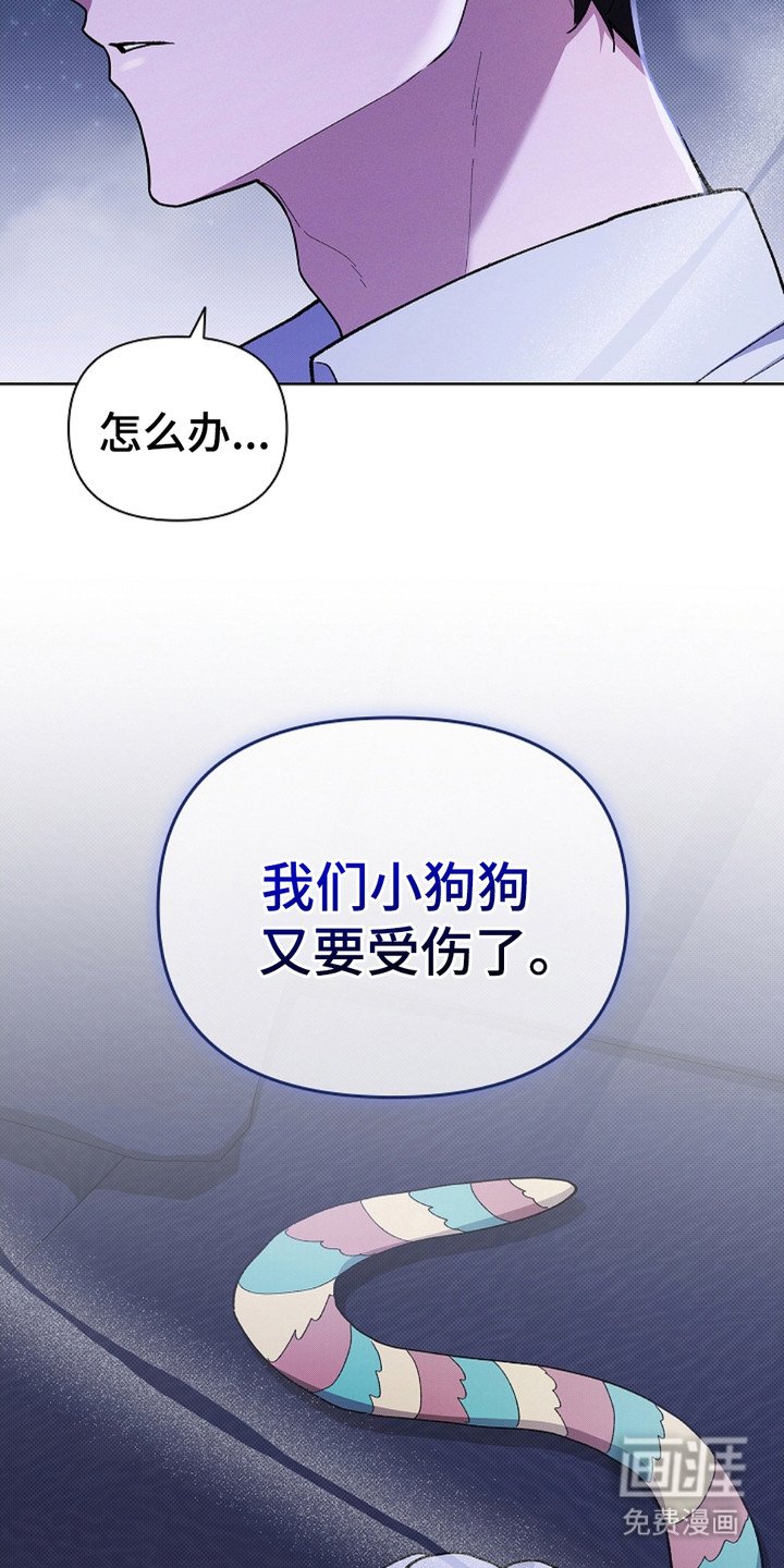 第19章：采耳