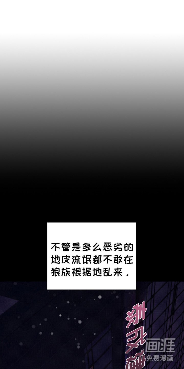第20章：恢复很快