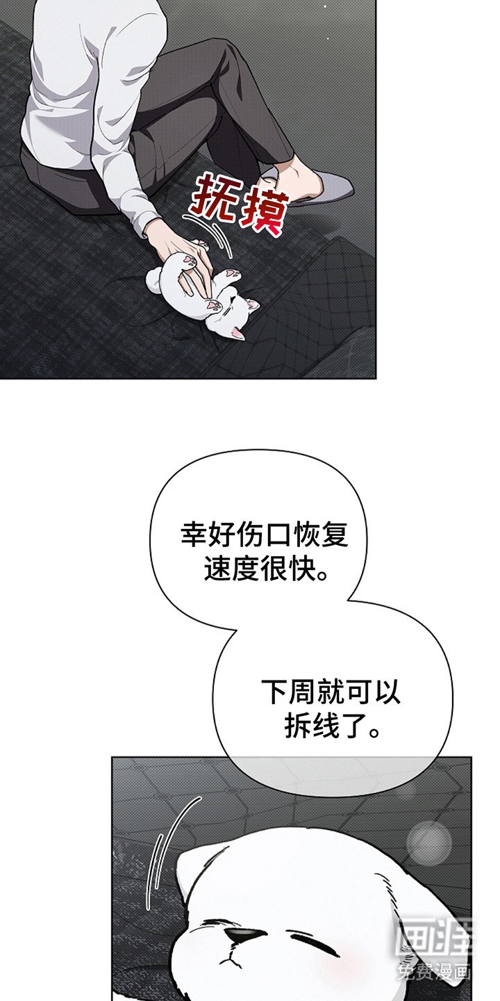 第20章：恢复很快