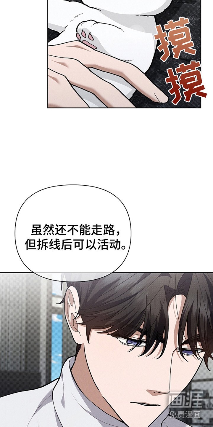 第20章：恢复很快