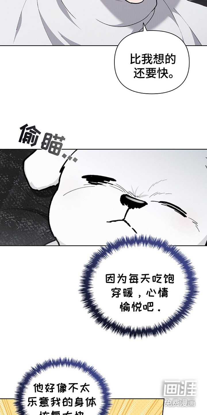 第20章：恢复很快