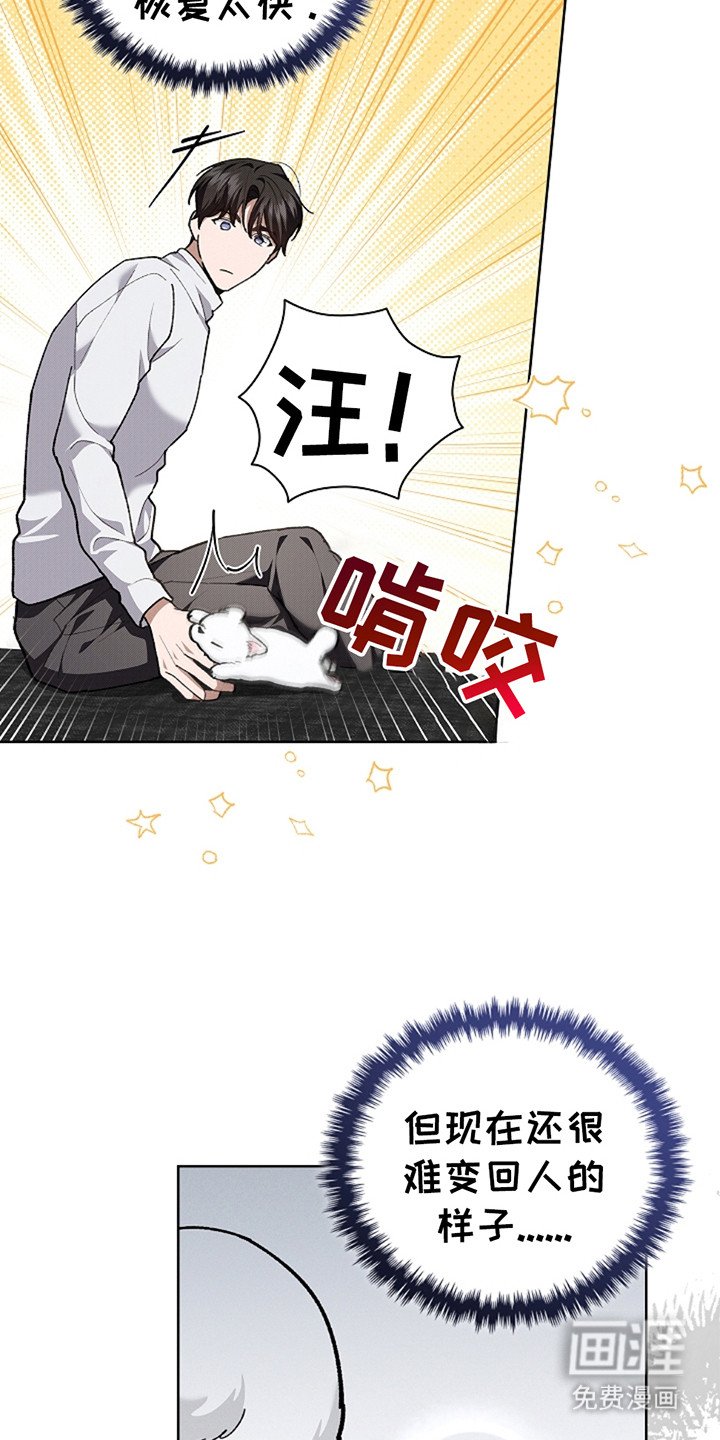 第20章：恢复很快