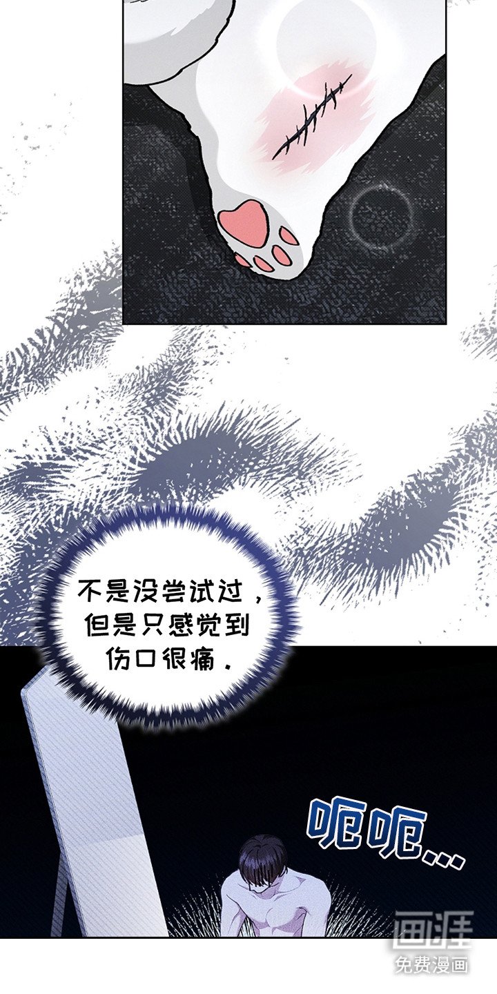第20章：恢复很快