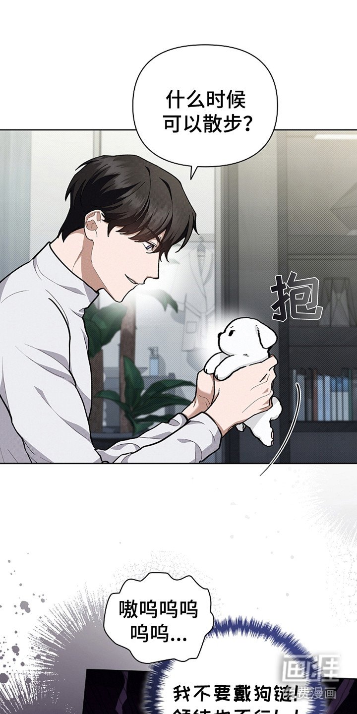 第20章：恢复很快