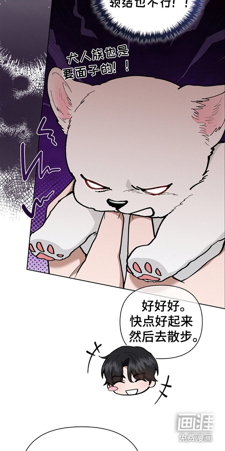 第20章：恢复很快