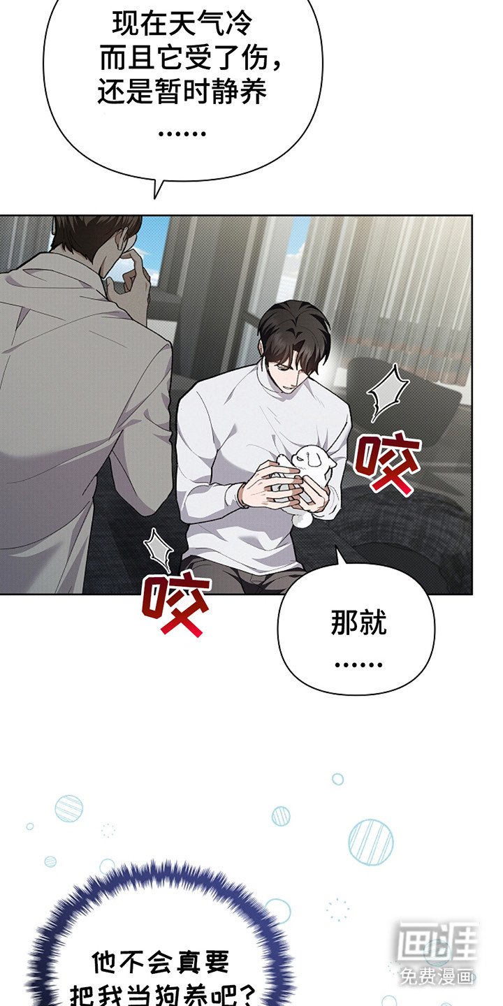 第20章：恢复很快
