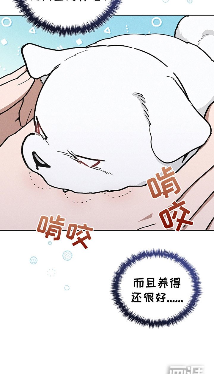 第20章：恢复很快