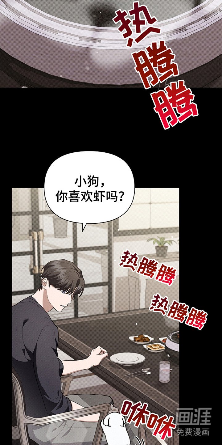 第21章：荷尔蒙