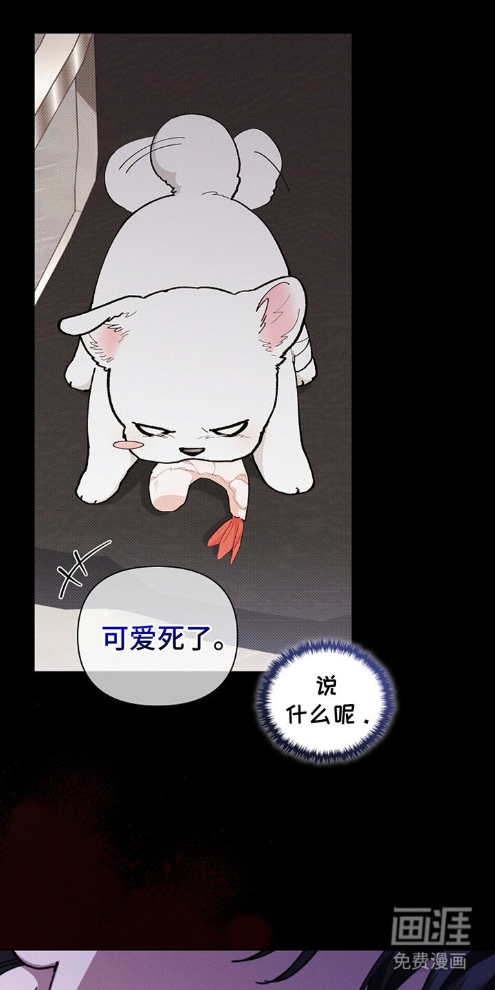 第21章：荷尔蒙