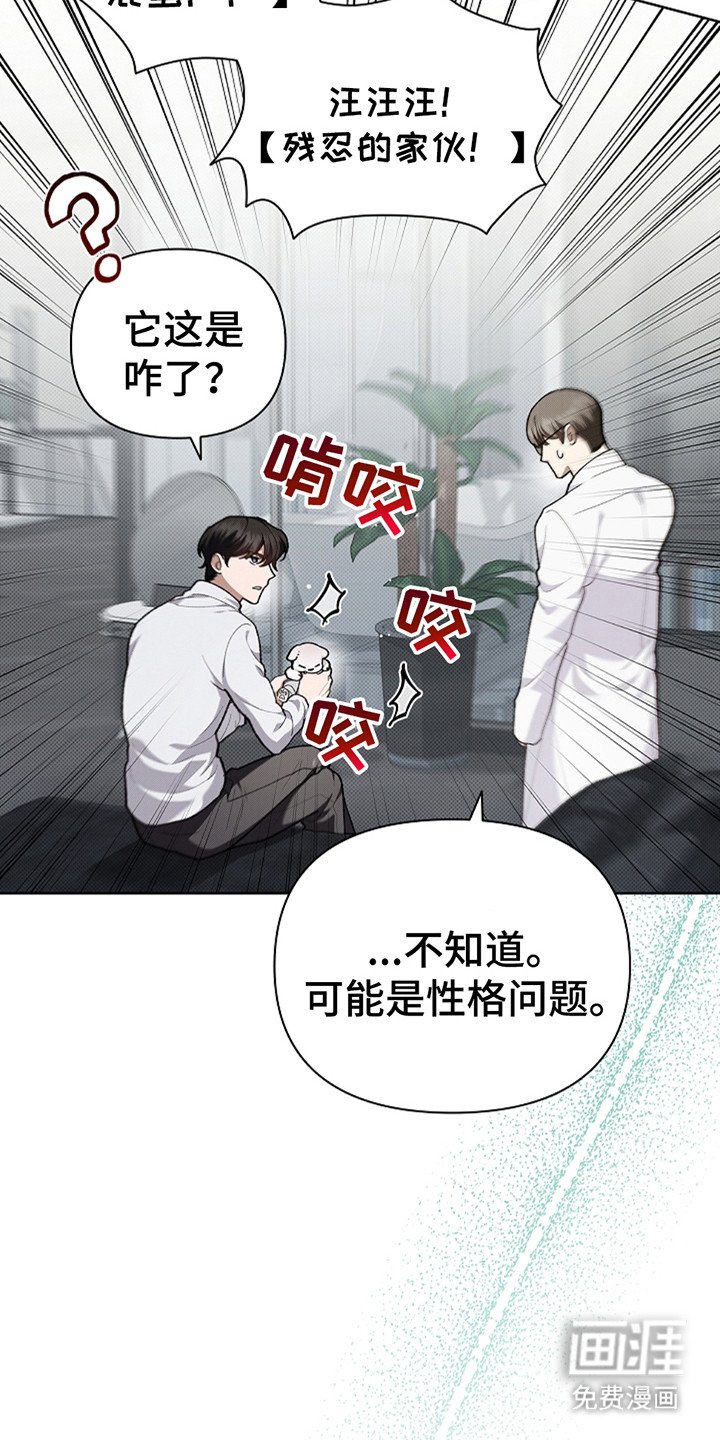 第21章：荷尔蒙