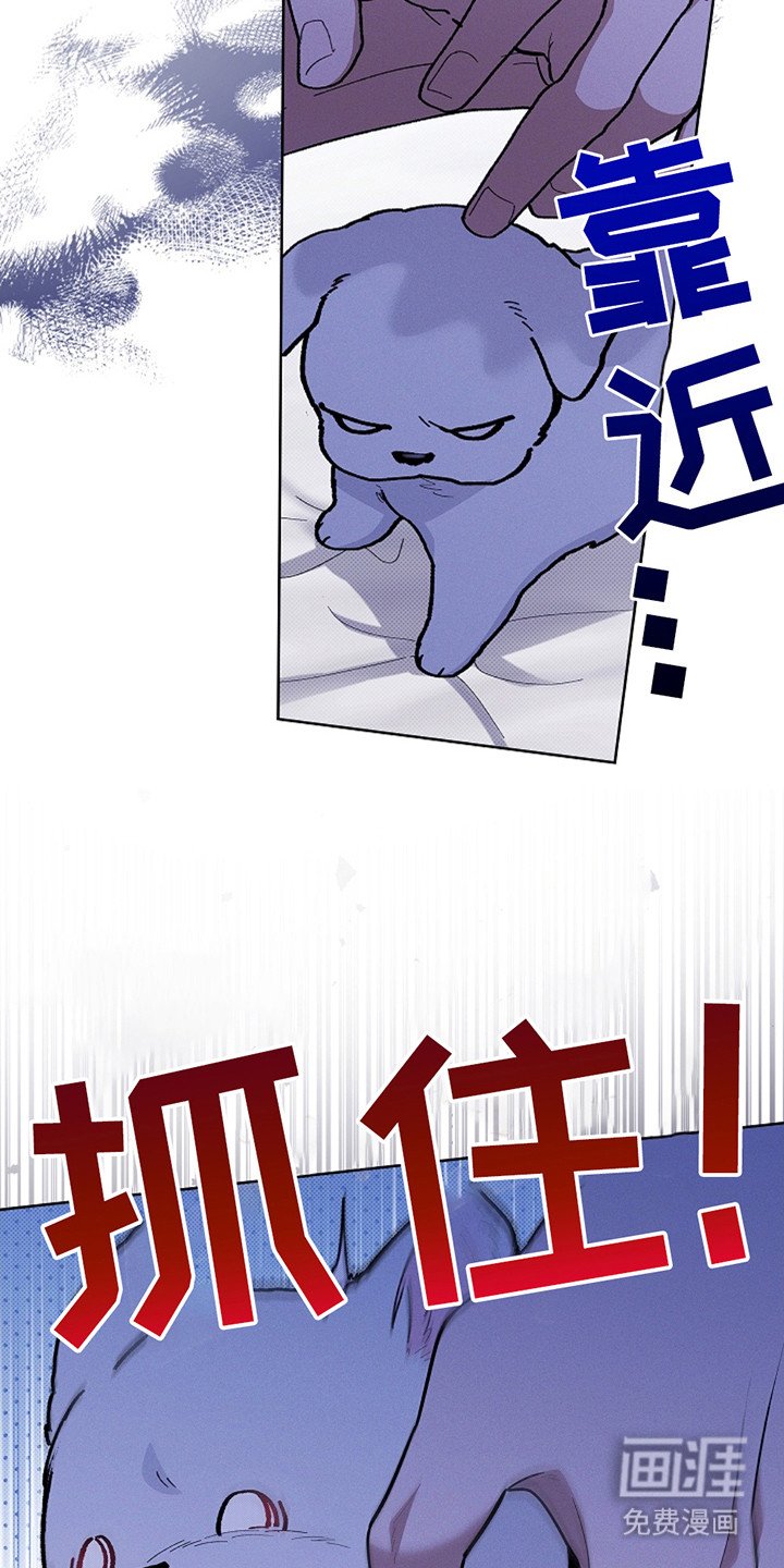 第22章：忍耐
