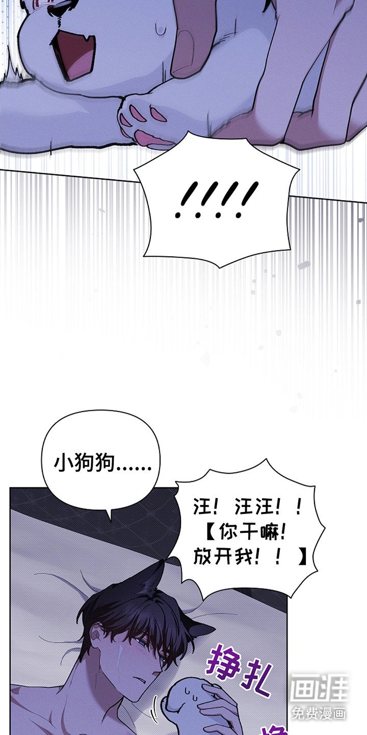 第22章：忍耐