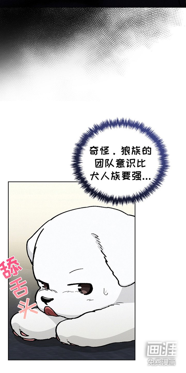 第23章：姐姐