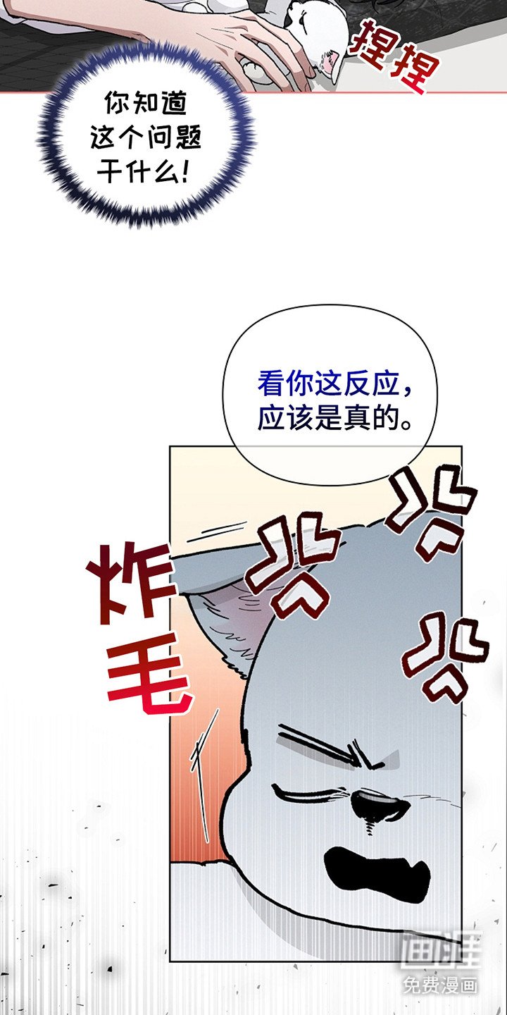 第24章：嫉妒