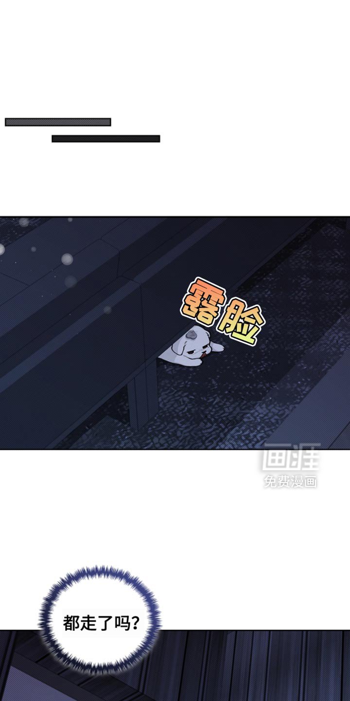 第25章：别回来了