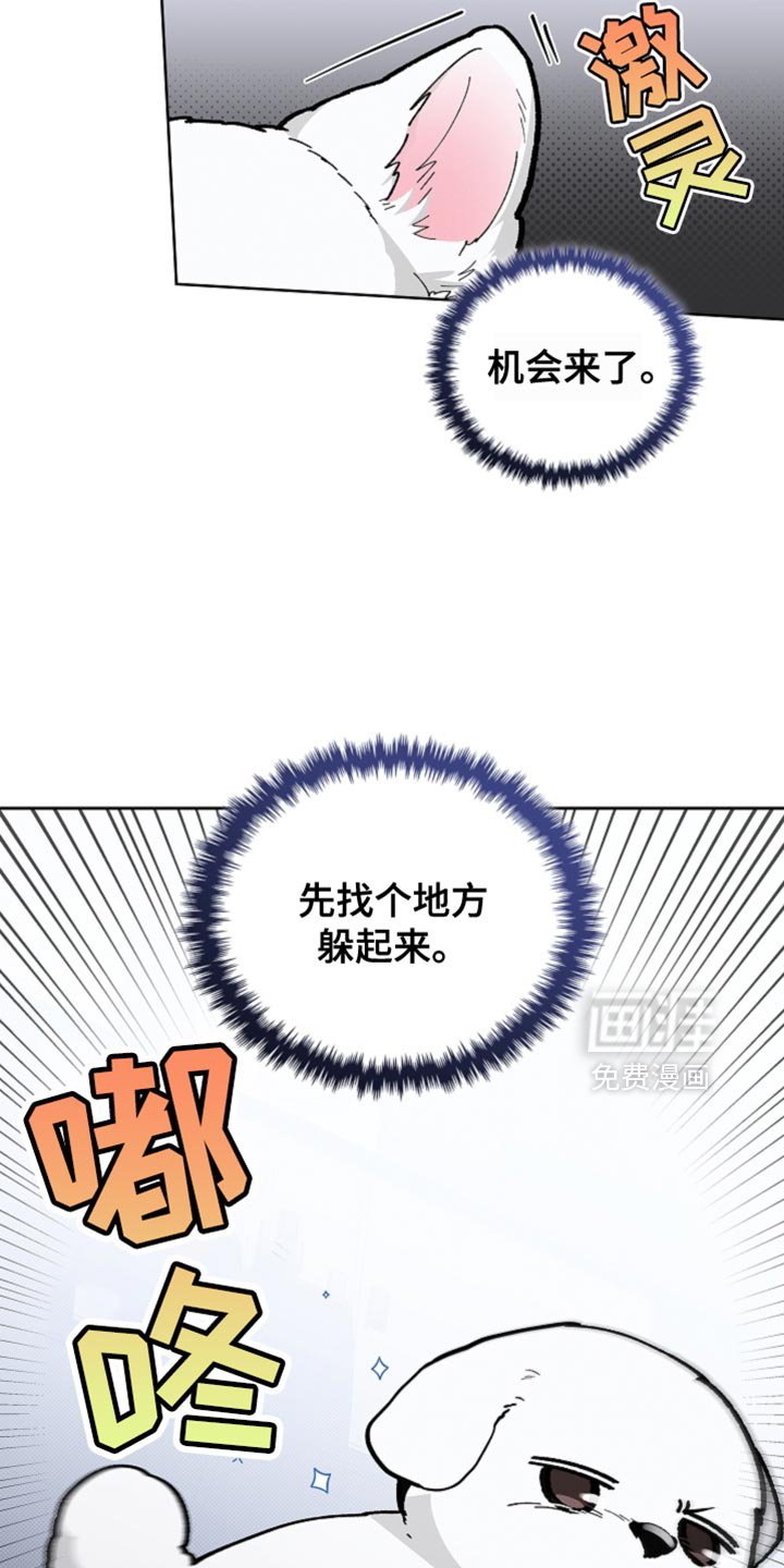 第26章：喜欢的食物