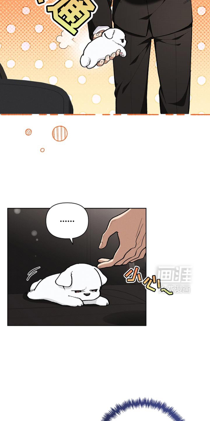 第26章：喜欢的食物