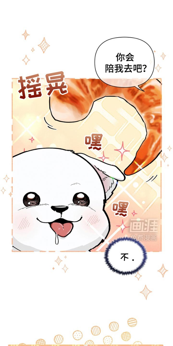 第28章：有点可怜