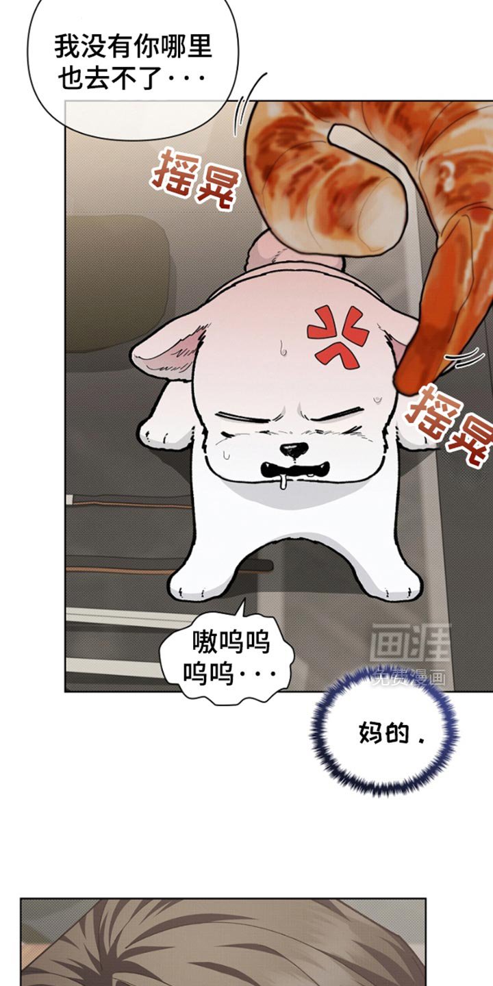 第28章：有点可怜